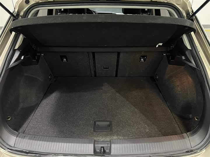 280TSI DSG Two-wheel Drive Elite PLUS 14