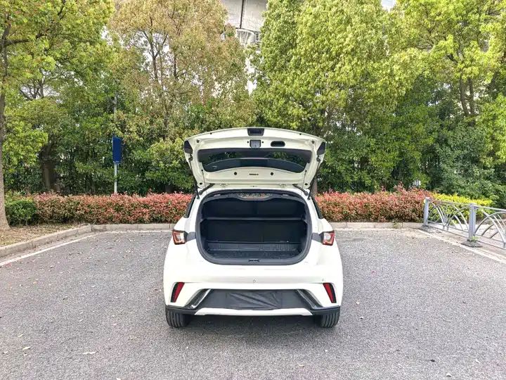 420km CLTC Fashion Edition, Pure BEV Chinese Used Car for Global Export 9
