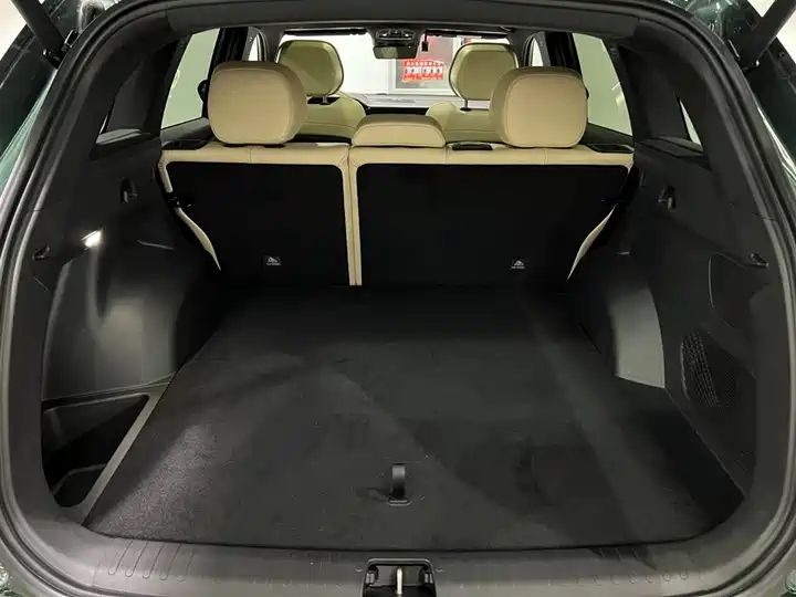 Oriental Shine 2.0TD Auto 4WD Wangyue Edition, Pre-owned Chinese SUV for Export 7