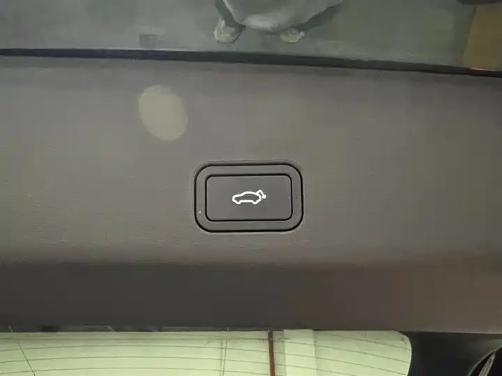 Oriental Shine 2.0TD Auto 4WD Wangyue Edition, Pre-owned Chinese SUV for Export 9