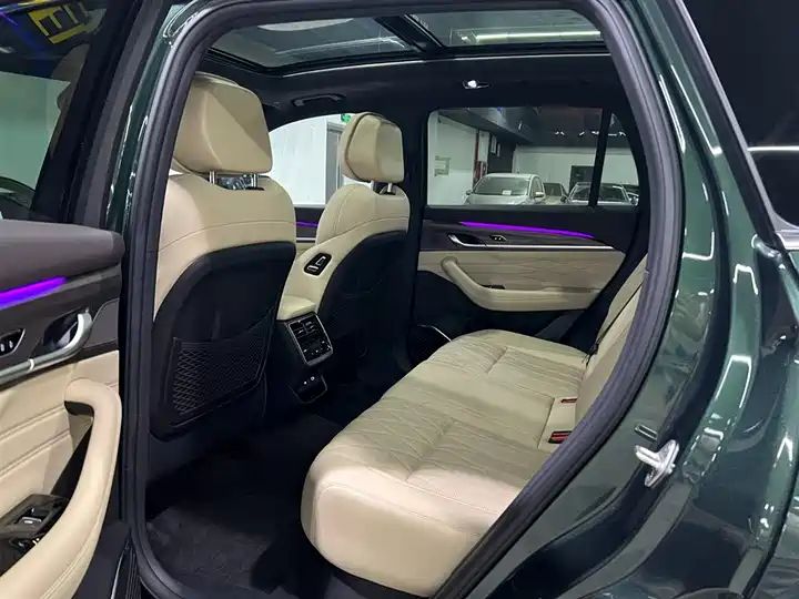 Oriental Shine 2.0TD Auto 4WD Wangyue Edition, Pre-owned Chinese SUV for Export 13