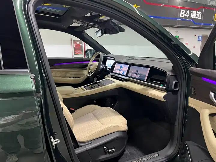 Oriental Shine 2.0TD Auto 4WD Wangyue Edition, Pre-owned Chinese SUV for Export 21