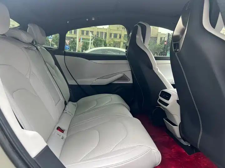 Rear-Wheel Drive, Long Range, Smart Driving Edition 6