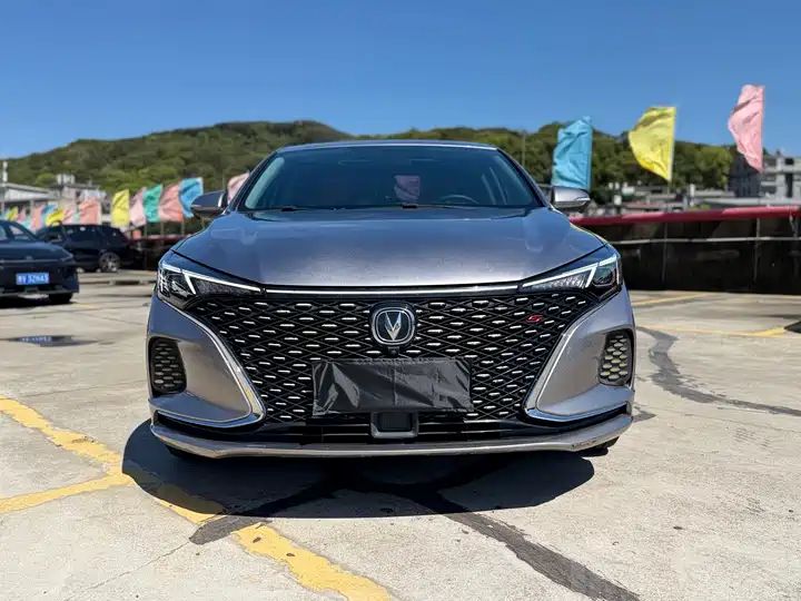 Blue Whale NE 1.4T GDI DCT Premium Edition, Used Car from China 2