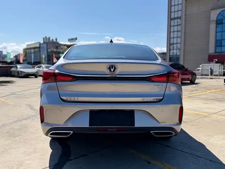 Blue Whale NE 1.4T GDI DCT Premium Edition, Used Car from China 6