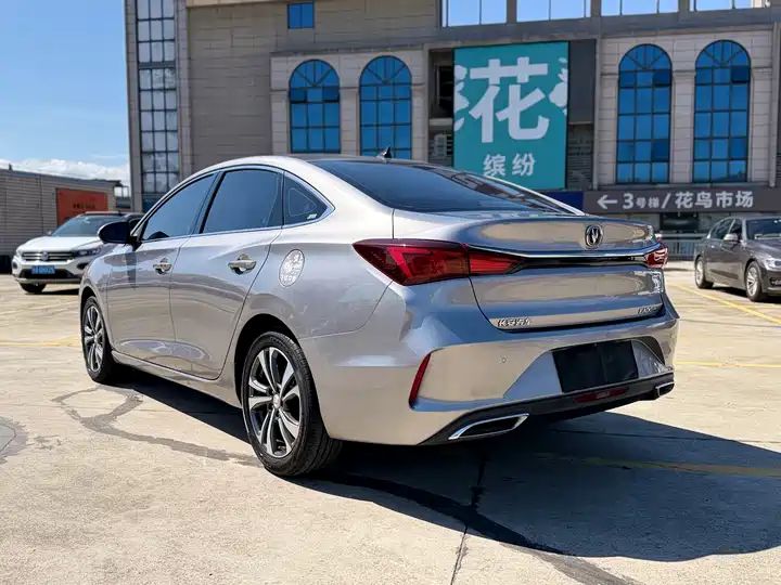 Blue Whale NE 1.4T GDI DCT Premium Edition, Used Car from China 7