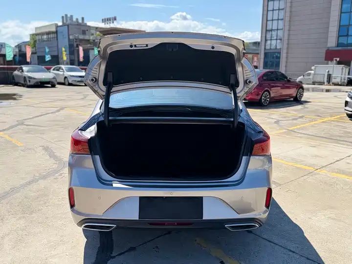 Blue Whale NE 1.4T GDI DCT Premium Edition, Used Car from China 11