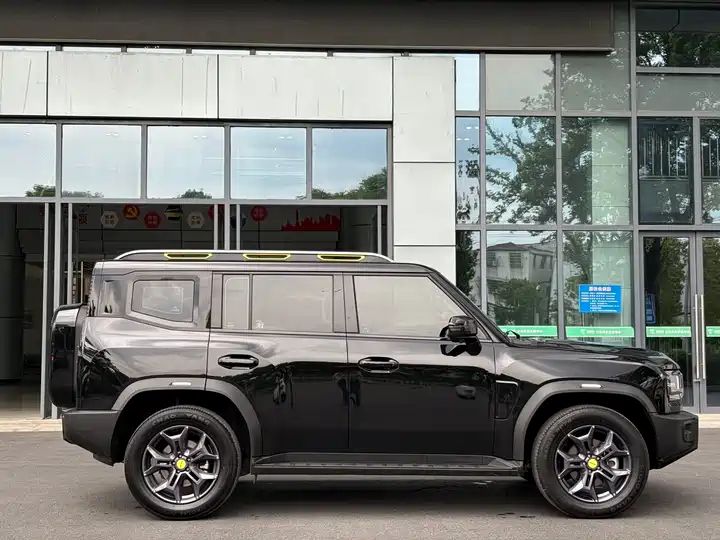 2.0T 4WD Cross PRO - China Used Car Export 12