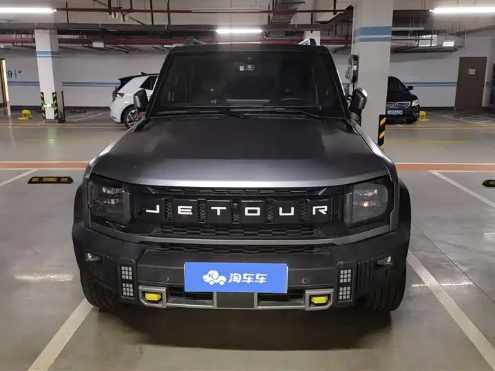 2024 208KM Mountain Wild Edition - China Used Car Export 2