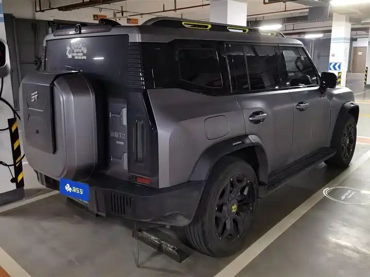 2024 208KM Mountain Wild Edition - China Used Car Export 3