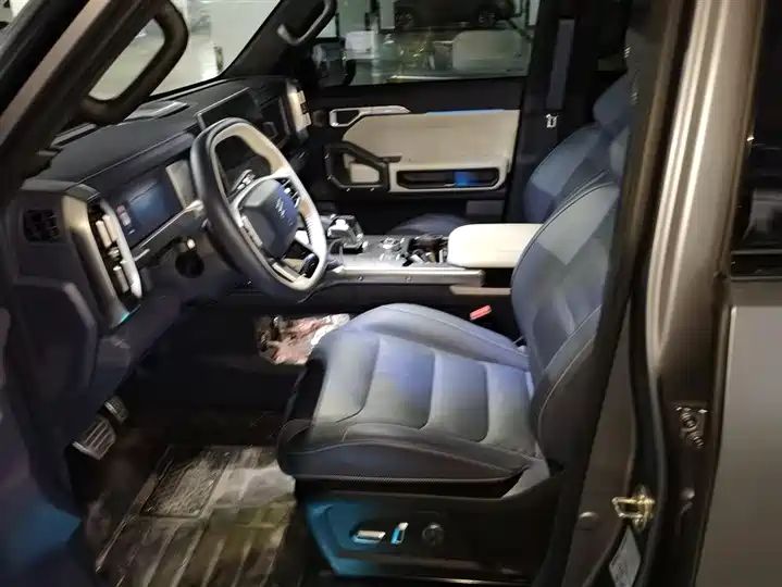2024 208KM Mountain Wild Edition - China Used Car Export 9