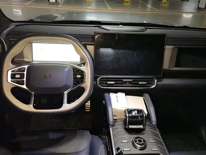 2024 208KM Mountain Wild Edition - China Used Car Export 12