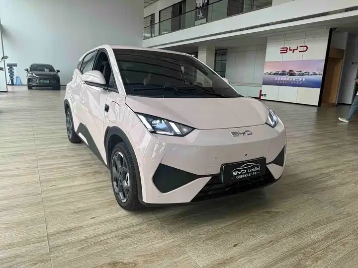 Smart Drive 405km Flying Edition | China Used Car Export 3
