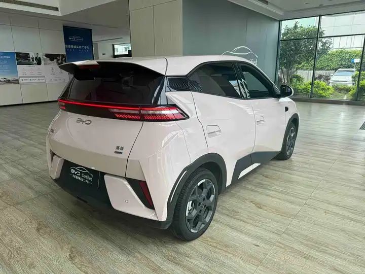 Smart Drive 405km Flying Edition | China Used Car Export 8