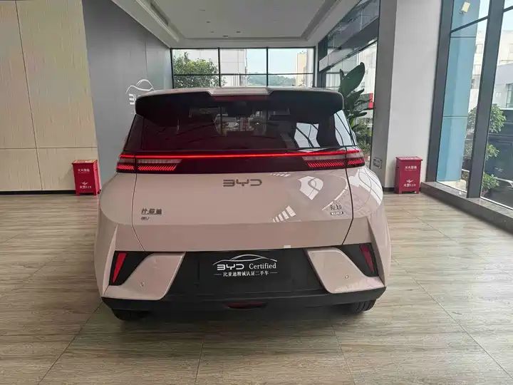 Smart Drive 405km Flying Edition | China Used Car Export 9