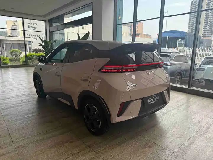 Smart Drive 405km Flying Edition | China Used Car Export 10