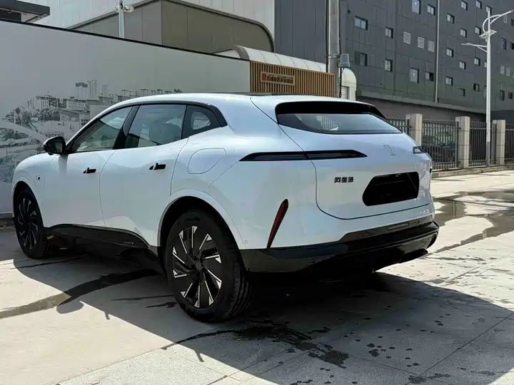 Max Extended Range EV | Chinese Used Car Export 8