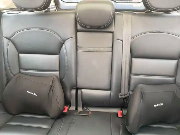 2.0T Enjoy Model China National VI Emission Standard For Export 7