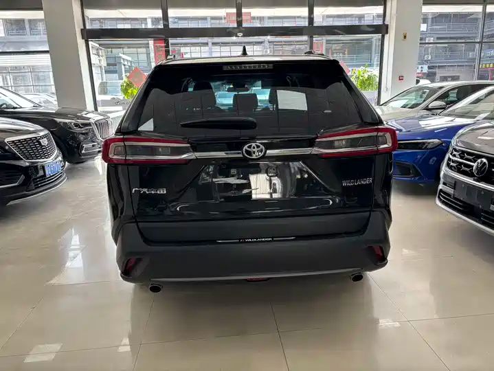 2.0L CVT 2WD Leading Edition | Used SUV from China 6