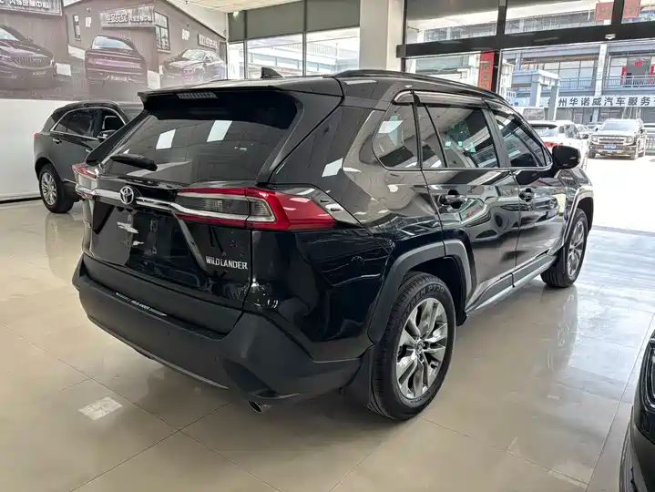 2.0L CVT 2WD Leading Edition | Used SUV from China 7