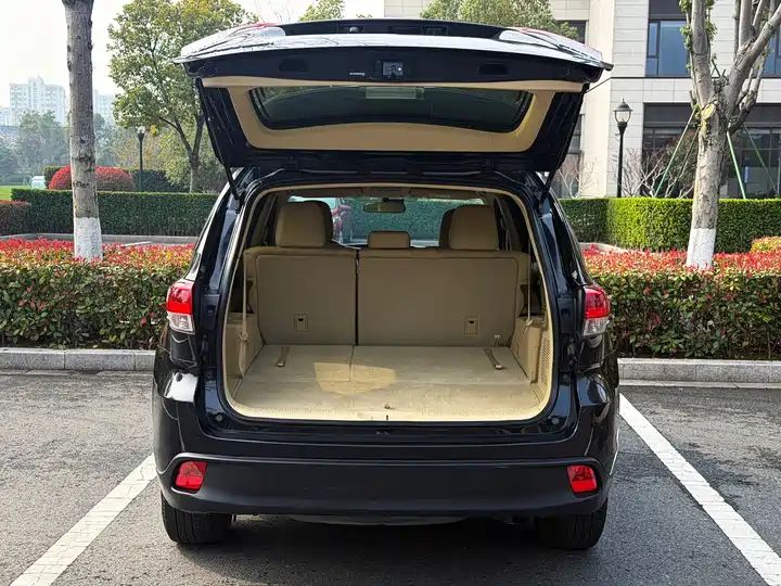 2.0T 4WD Elite 7-seater | China V Emission, Wholesale Available 8
