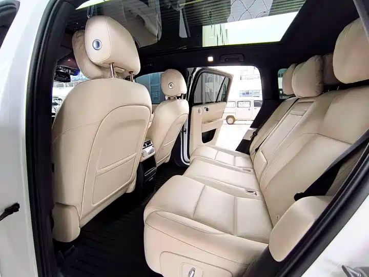 Used Electric SUV | China Export | Cheap & Reliable REV for Global Buyers 5