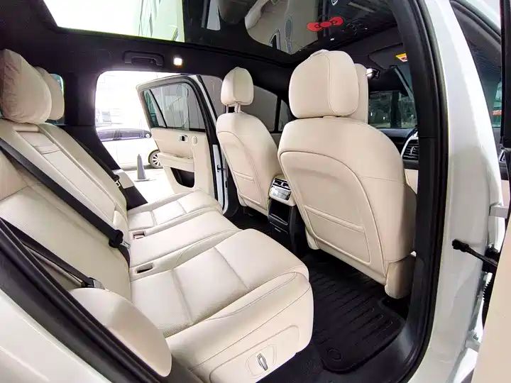 Used Electric SUV | China Export | Cheap & Reliable REV for Global Buyers 7