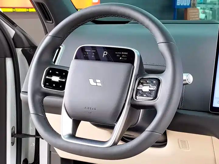 Used Electric SUV | China Export | Cheap & Reliable REV for Global Buyers 10