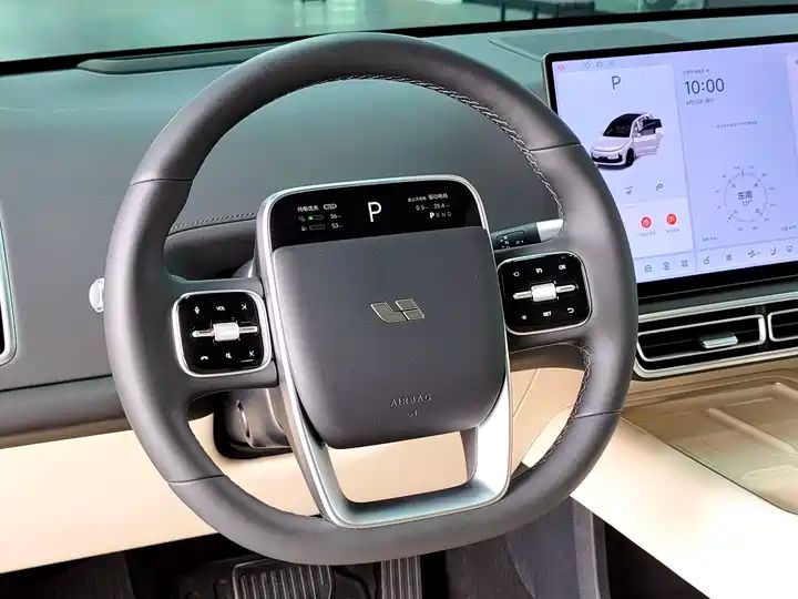 Used Electric SUV | China Export | Cheap & Reliable REV for Global Buyers 14