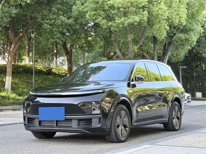 2024 Pro Smart Family SUV, Long Range EV Exported from China - Image 1