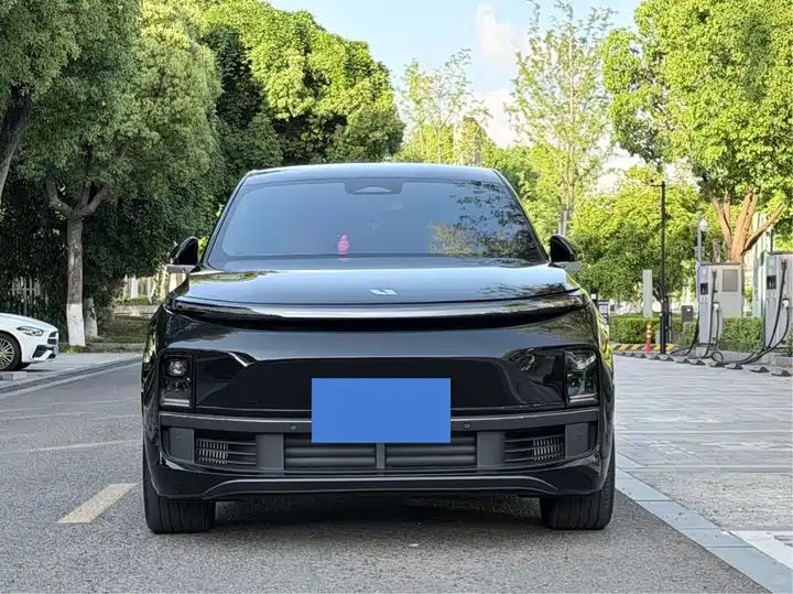 2024 Pro Smart Family SUV, Long Range EV Exported from China 2