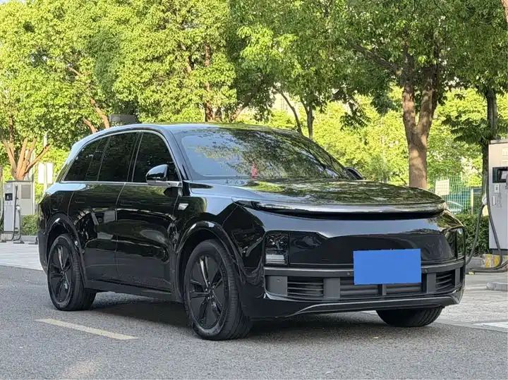 2024 Pro Smart Family SUV, Long Range EV Exported from China 3