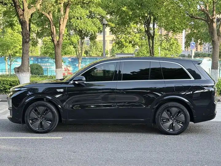 2024 Pro Smart Family SUV, Long Range EV Exported from China 4