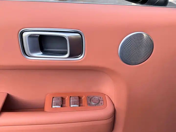 2024 Pro Smart Family SUV, Long Range EV Exported from China 10