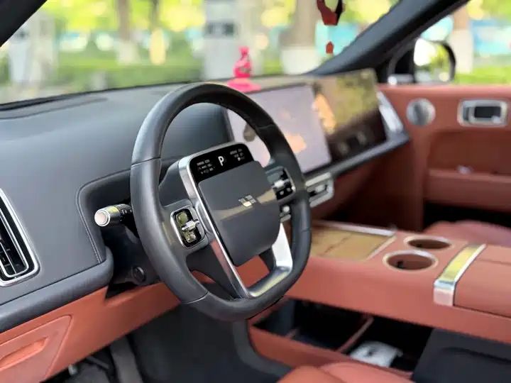 2024 Pro Smart Family SUV, Long Range EV Exported from China 13