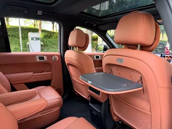2024 Pro Smart Family SUV, Long Range EV Exported from China 15