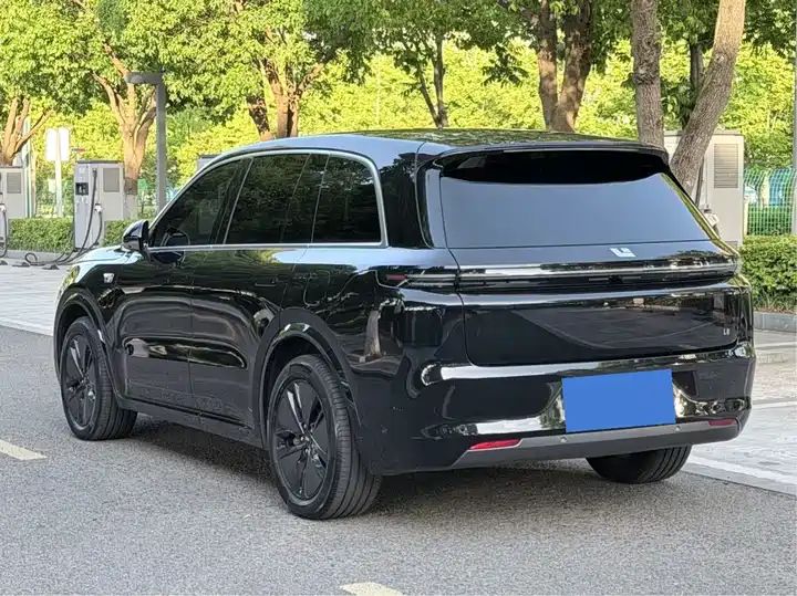 2024 Pro Smart Family SUV, Long Range EV Exported from China 17