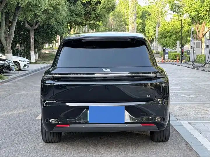 2024 Pro Smart Family SUV, Long Range EV Exported from China 18