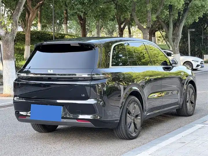 2024 Pro Smart Family SUV, Long Range EV Exported from China 19