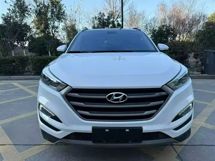 1.6T Dual Clutch 2WD 15th Anniversary Special Edition Export Vehicle 7