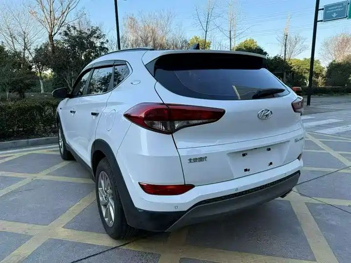 1.6T Dual Clutch 2WD 15th Anniversary Special Edition Export Vehicle 10