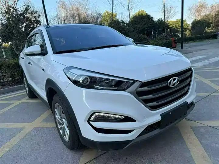 1.6T Dual Clutch 2WD 15th Anniversary Special Edition Export Vehicle 12