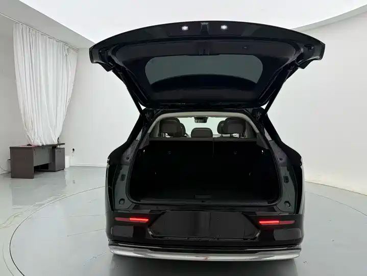 RWD Smart Driving Edition | Used EV Export from China 20