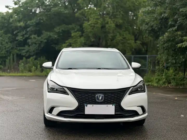 Whale 280T GDI DCT Sport Edition | Used Sedan Export from China 2