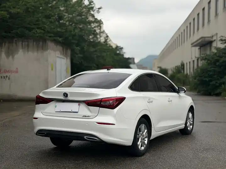 Whale 280T GDI DCT Sport Edition | Used Sedan Export from China 3