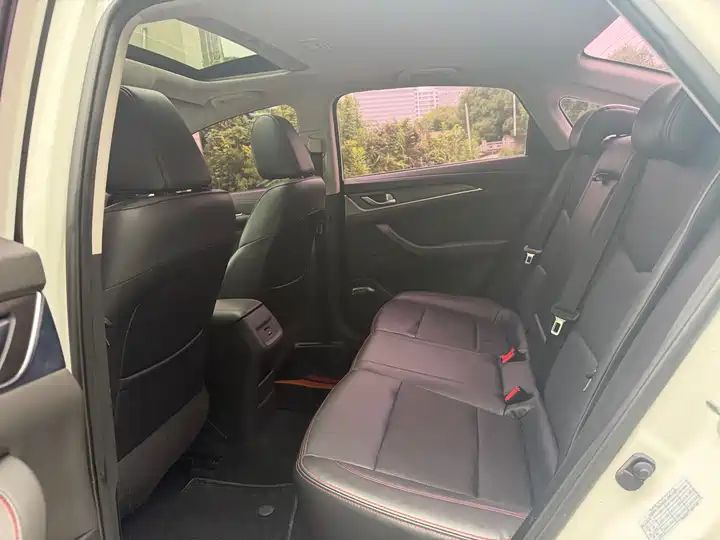 Whale 280T GDI DCT Sport Edition | Used Sedan Export from China 8