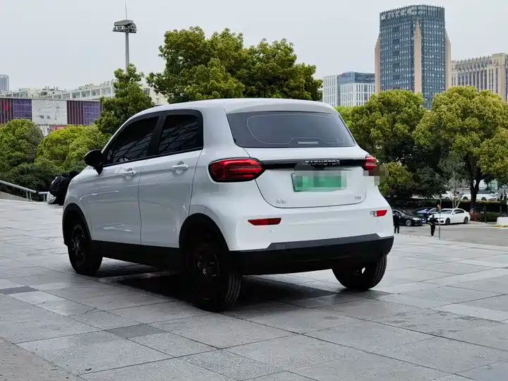 310 Comfort Edition | Used EV Export from China 6