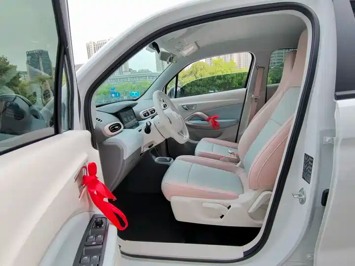 310 Comfort Edition | Used EV Export from China 9