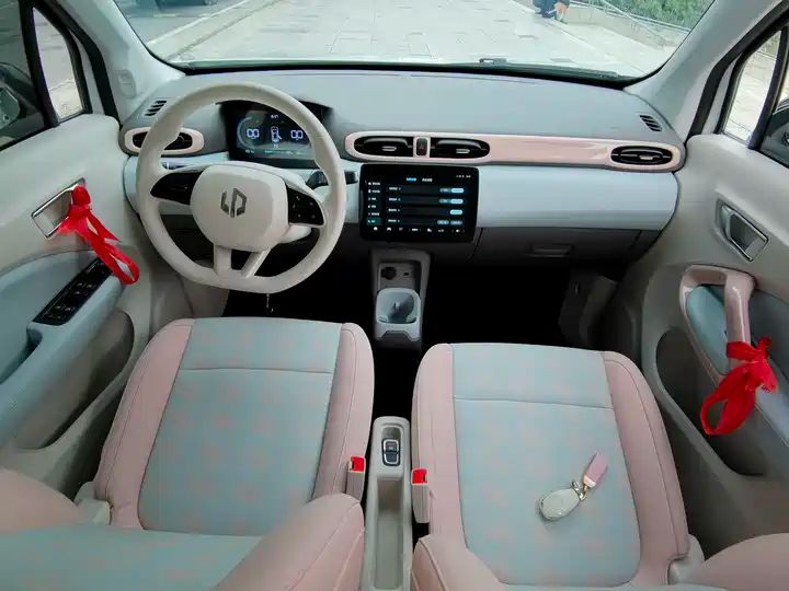 310 Comfort Edition | Used EV Export from China 10