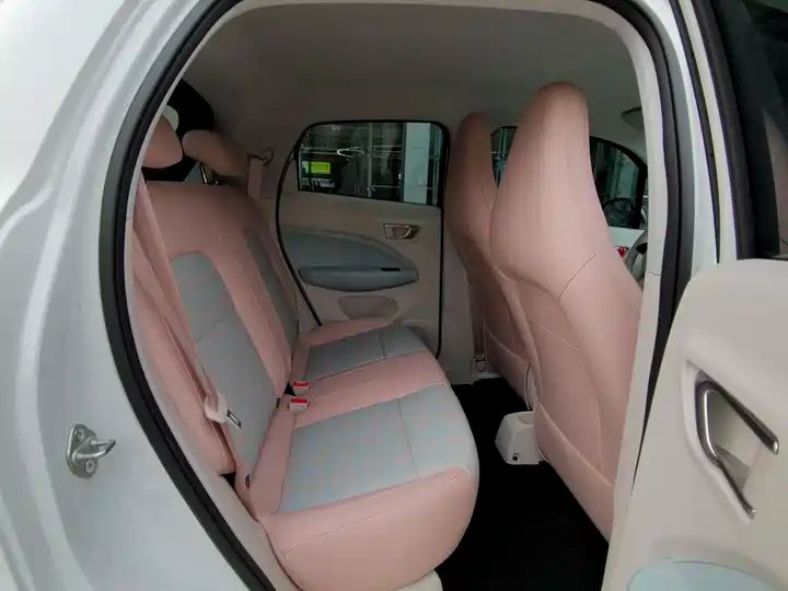 310 Comfort Edition | Used EV Export from China 11